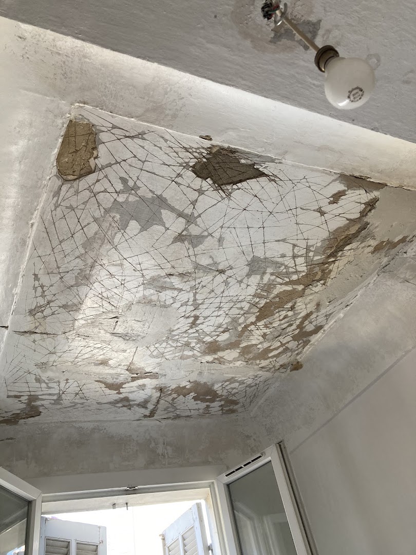 Peintre du Sud Dubuisson laurent — Photos 4